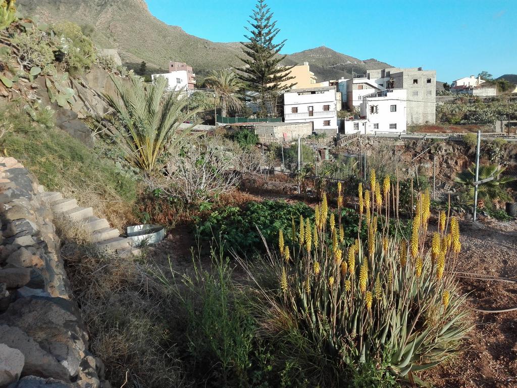 Finca Patio Canario Arona  Εξωτερικό φωτογραφία