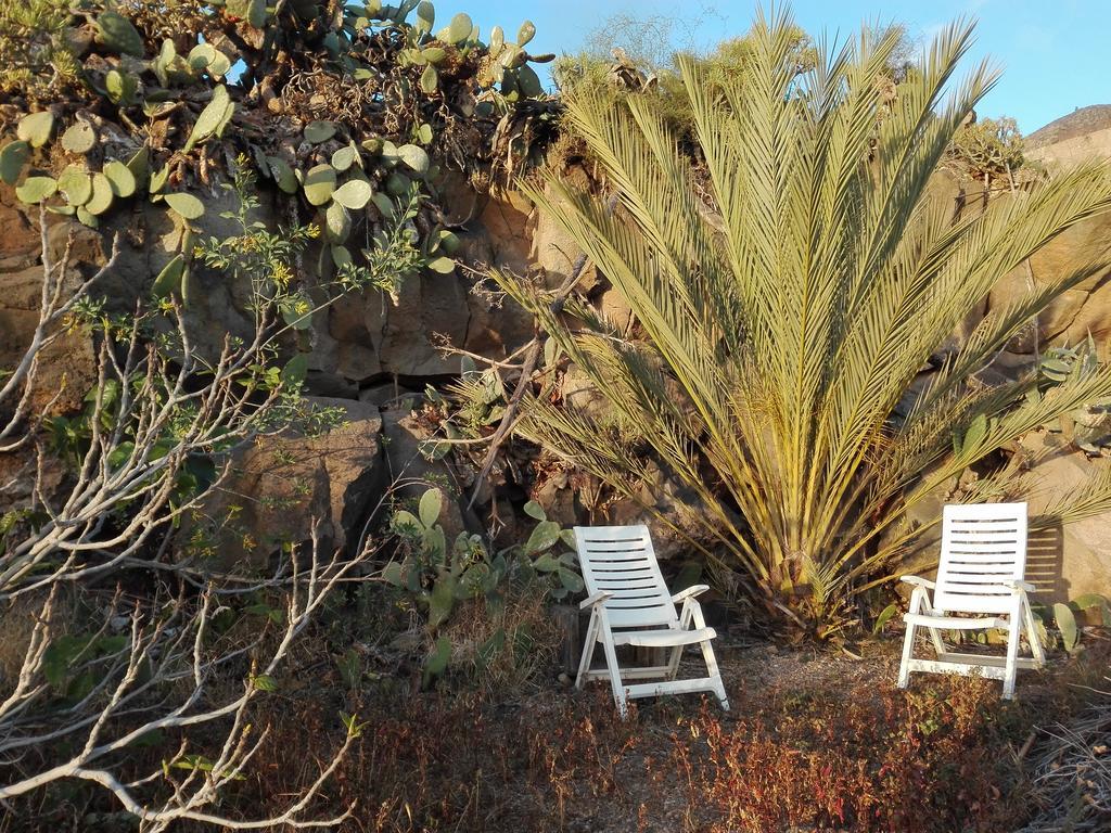 Finca Patio Canario Διαμέρισμα Arona  Εξωτερικό φωτογραφία