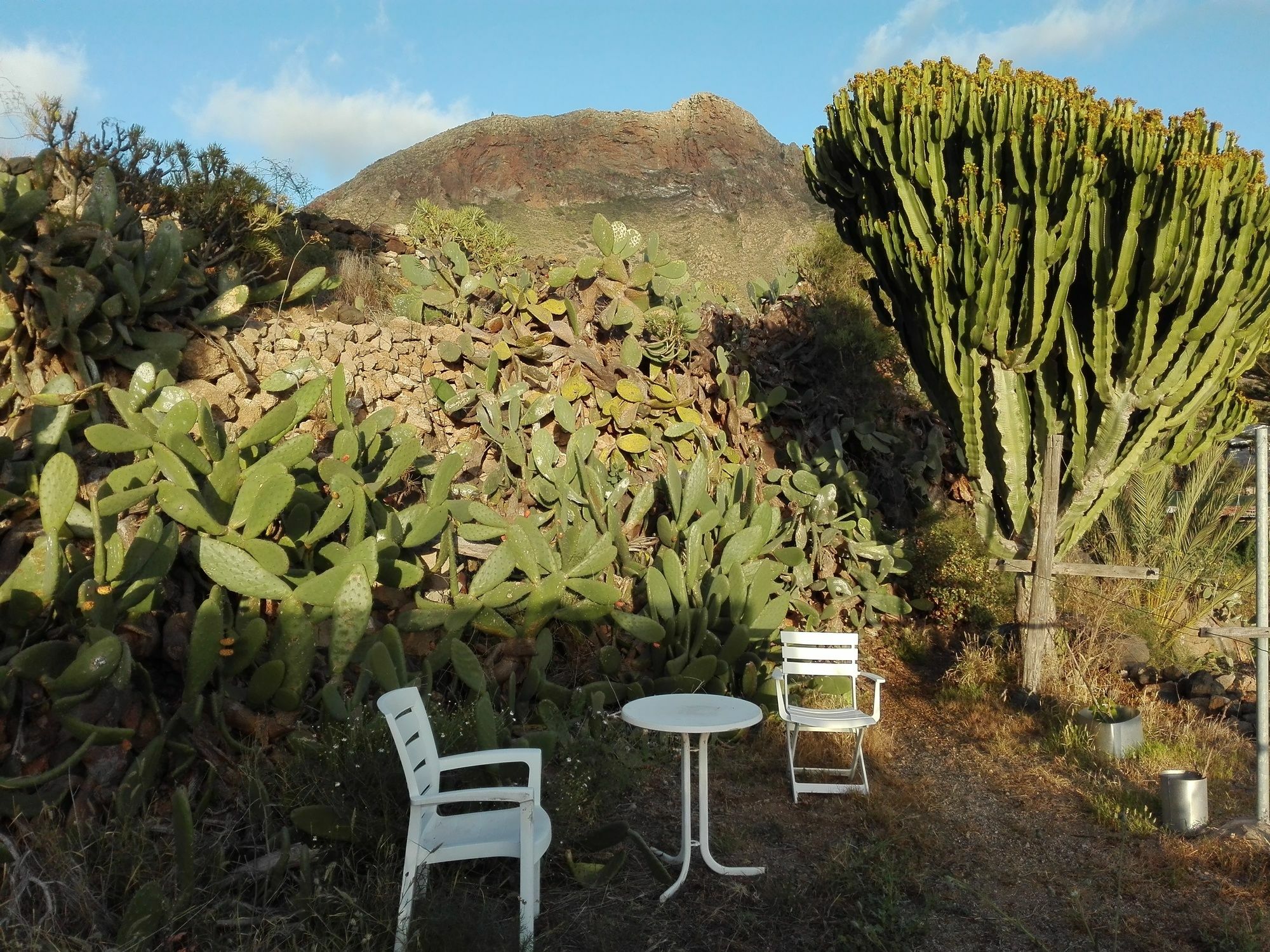 Finca Patio Canario Arona  Εξωτερικό φωτογραφία